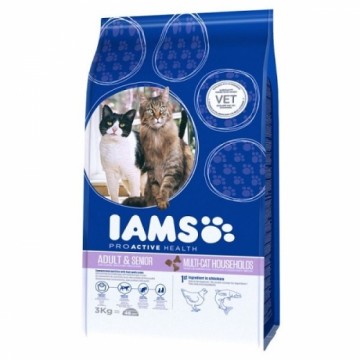 Сухой корм для кошек - IAMS CAT Multicat Chicken Salmon, 15 кг