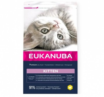 Dry food for kittens - Eukanuba CAT KITTEN HEALTHY START CKN 10KG