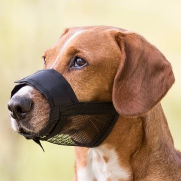 Uzpurnis suņiem - Trixie Muzzle, Nylon. Size M, Snoup strap 19-26 cm, 4.6cm