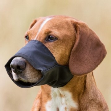 Uzpurnis suņiem - Trixie Muzzle, Nylon. Size XXS, Snoup strap 12 cm, 4.3 cm