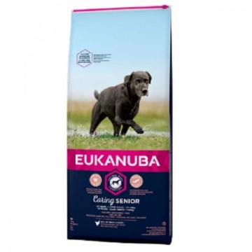 Сухой корм для собак - Eukanuba Senior Large Breed Chicken, 15 кг