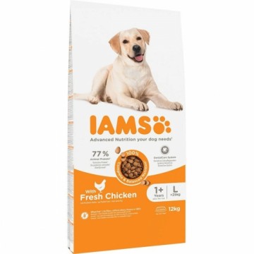 Фураж IAMS Vitality Adult Large Breed Курица 12 kg