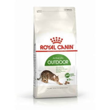 Kaķu barība Royal Canin Active Life Outdoor Pieaugušais Putni 4 Kg