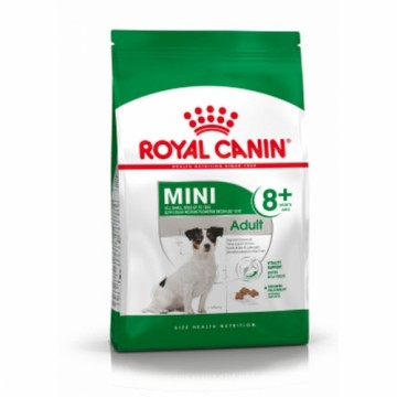 Lopbarība Royal Canin Mini Adult 8+ Pieaugušais Kukurūza 2 Kg