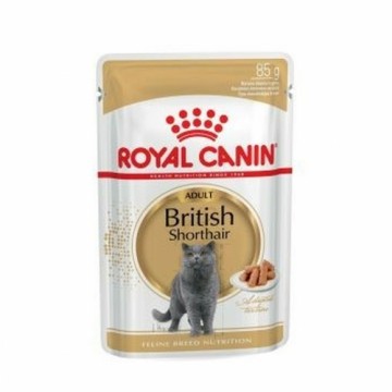 Kaķu barība Royal Canin British Shorthair Adult