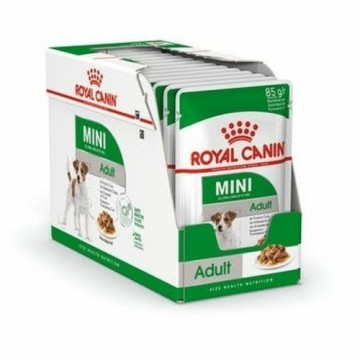 Mitrs ēdien Royal Canin Mini Adult 12 x 85 g