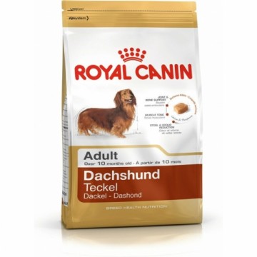 Lopbarība Royal Canin Dachshund Adult Pieaugušais Putni 1,5 Kg