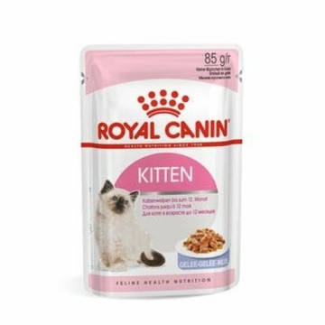 Корм для котов Royal Canin Kitten Jelly Курица