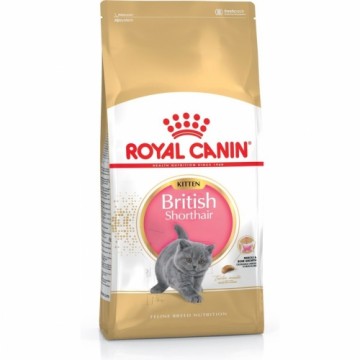 Корм для котов Royal Canin British Shorthair Kitten Курица Растительный птицы 2 Kg