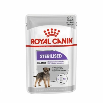 Mitrs ēdien Royal Canin Adult