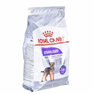 Lopbarība Royal Canin Mini Sterilised Pieaugušais 3 Kg