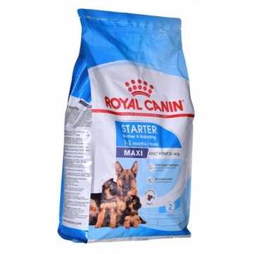 Lopbarība Royal Canin Maxi Starter Mother & Babydo Putni 4 Kg