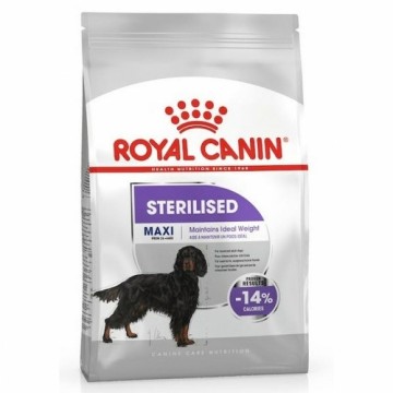 Lopbarība Royal Canin 12 kg