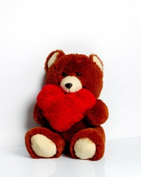 Go Gift FRANK teddy bear 50 cm brown