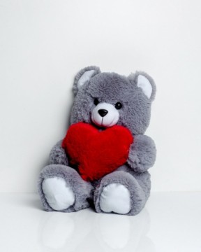 Go Gift FRANK teddy bear 50 cm grey