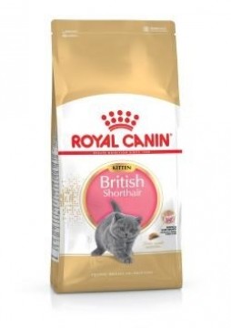 Royal Canin British Shorthair Kitten cats dry food 400 g Adult Poultry