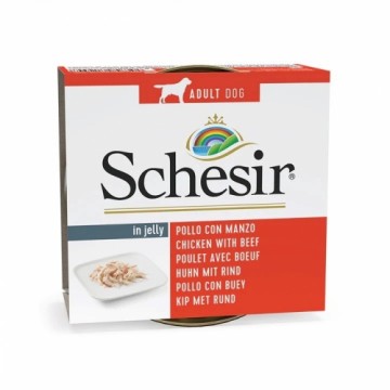 SCHESIR in jelly Chicken with beef - wet dog food - 150 g