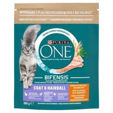 Purina Nestle PURINA One Bifensis Coat & Hairball Chicken - dry cat food - 800 g