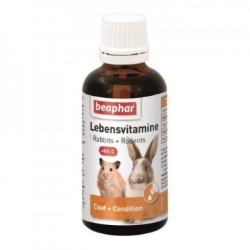 Vitamin supplement for rodents and rabbits : Beaphar Lebensvitamine 50ml