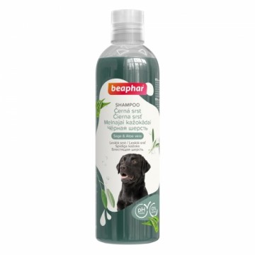 Shampoo for dogs - Beaphar Black Coat Shampoo Dog, 250ml