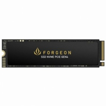 Cietais Disks Forgeon 4 TB SSD