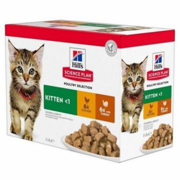 Cat food Hill's Feline Kitten Chicken