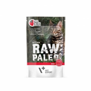 Vetexpert RAW PALEO Kitten Cat Beef - wet food for kittens - 100 g