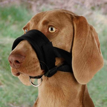 Nylon muzzle for dogs : Trixie Muzzle Loop, Nylon, XXL, Great Dane, Neck Strap: 22:35 cm, Snout Strap: 28:38 cm.