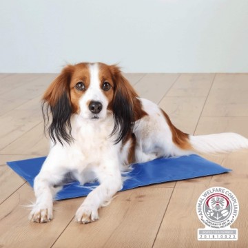 Cooling mat for animals - Trixie Cooling mat 50*40cm, blue