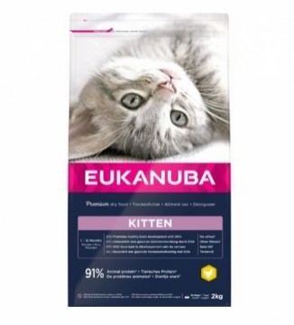 Sausā barība kaķēniem - Eukanuba CAT KITTEN HEALTHY START CKN 2 kg