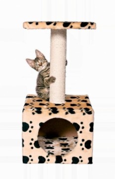 Mājiņa kaķiem : Trixie Zamora Scratching Post 61cm, beige