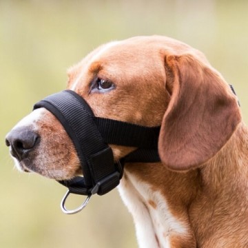 Muzzle for dogs - Trixie Muzzle Loop, Nylon, L- XL, Neck Strap: 23-34 cm, Snout Strap: 34.23 cm