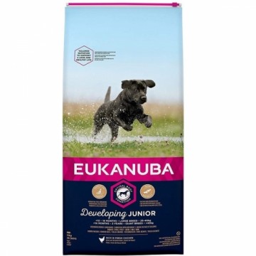 Dry food for puppies : Eukanuba Junior Large Breed Chicken, 15 kg