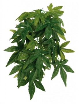 Dekors terārijam : TRIXIE Silk hanging plant, Abutilon, 20*30 cm