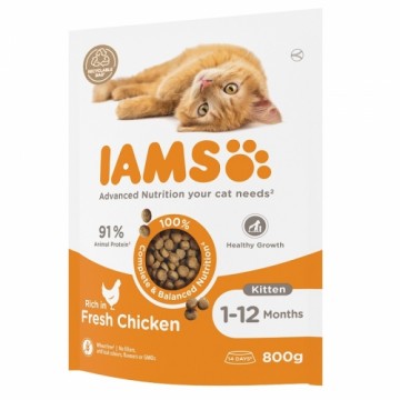 Sausā barība kaķēniem - IAMS CAT KITTEN CHICKEN, 800 gr