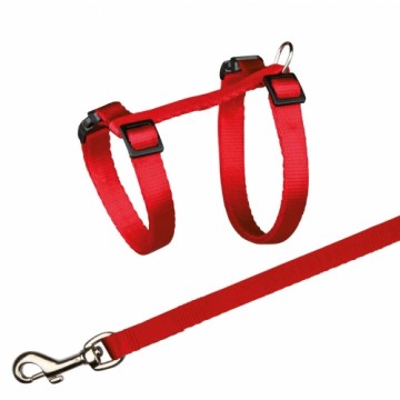 Collar and lead for cats : Trixie Harness with Lead 26:43cm|10mm, Lead 1.20m