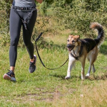 Running lead : Trixie Waist belt with leash, wide, neoprene padded, belt: 70-120 cm|12 cm, leash: 1.10-1.50 m|20 m