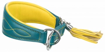 Collar : Trixie Active Comfort collar for greyhounds, XS: 21-26 cm|40 mm, petrol.