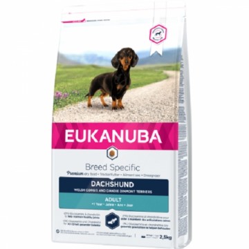 Сухой корм для собак - Eukanuba Adult Dachshund, 2,5 кг