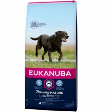 Сухой корм для собак - Eukanuba Mature and Senior Large Breed, 15 кг