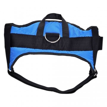 Dog Harness Hearts & Homies Blue Size M