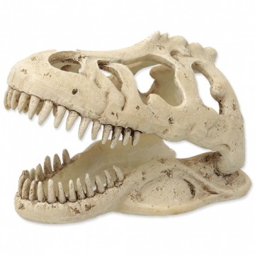 Terrarium decor : Repti Planet T:REX skull 13,3x8,5x9cm