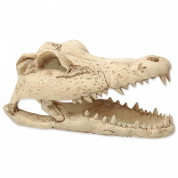 Terrarium decor : Repti Planet Crokodil skull 13,8x6,8x6,5cm