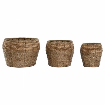 Set of Planters Home ESPRIT Natural Metal Fibre Tropical 32 x 32 x 25 cm