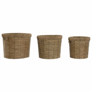 Set of Planters Home ESPRIT Brown Metal Fibre Tropical 36 x 36 x 29 cm