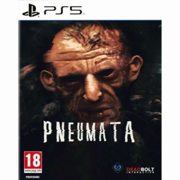 Видеоигры PlayStation 5 Just For Games Pneumata