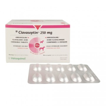 Vetoquinol Clavaseptin 250 mg N100*