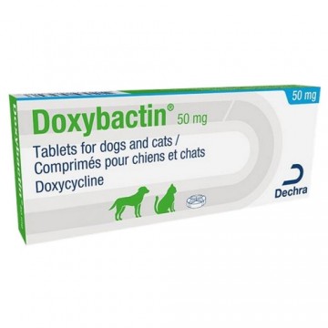 Le Vet B.v. Doxybactin vet 50 mg N10*