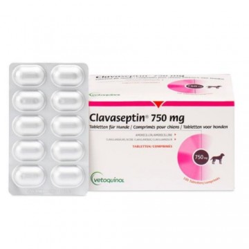 Clavaseptin 750 mg N100*