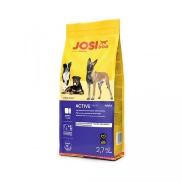 Josera Petfood Josera P suņiem JosiDog Active 2.7 kg